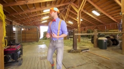 یک روز در مرتع پرورش حیوانات با بلیپی